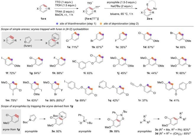 JACS：苯炔构建新方法(图3)