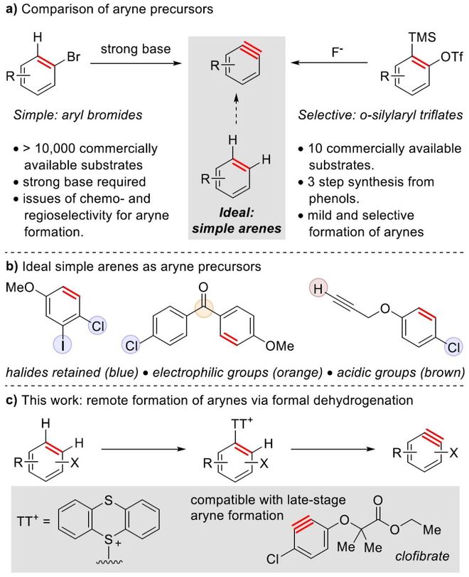 JACS:苯炔构建新方法