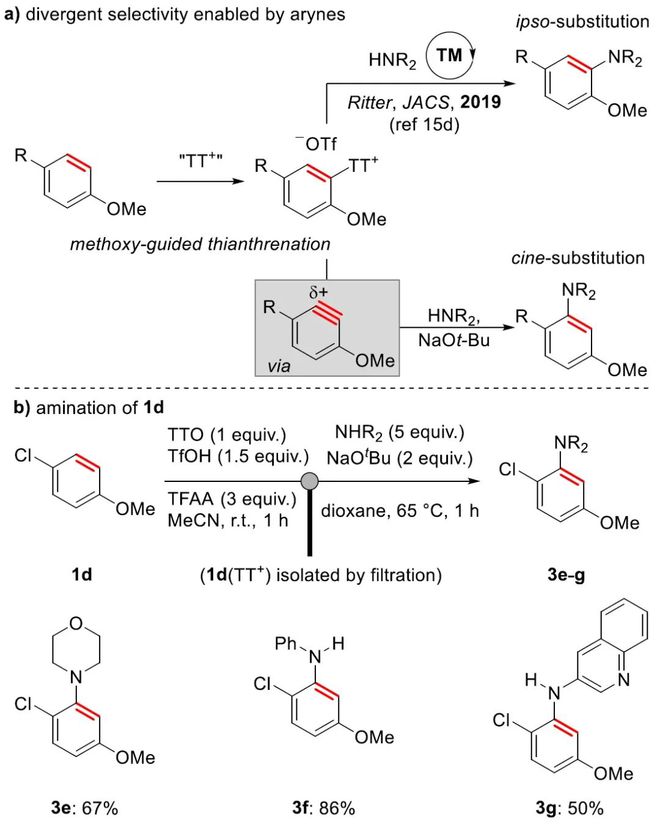 JACS：苯炔构建新方法(图5)