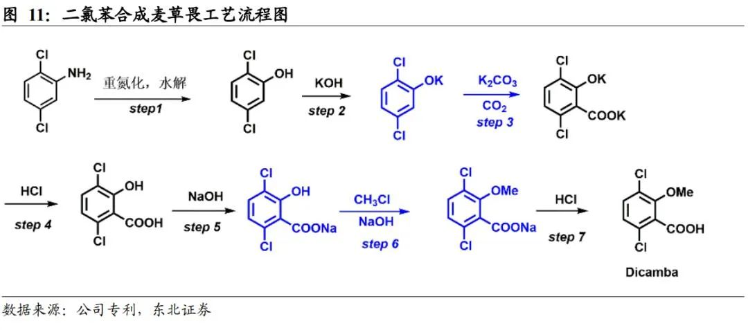 扬农化工：打造多个万吨级单品上马多款创制农药(图12)