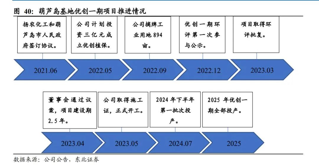 扬农化工：打造多个万吨级单品上马多款创制农药(图38)