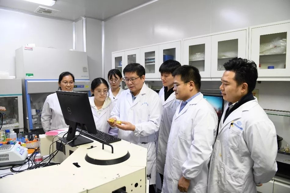 江南大学胥传来团队首次发现高效介导免疫应答的手性纳米免疫佐剂