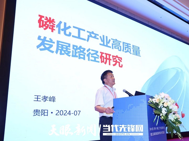 从“磷”突破向“新”出发｜2024中国（贵州）磷化工产业发展大会暨第三届磷系新能源材料技术交流会关注“富矿精开”(图5)
