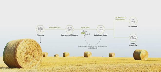 基于可再生碳源海外公司成功合成生物靛蓝(图3)