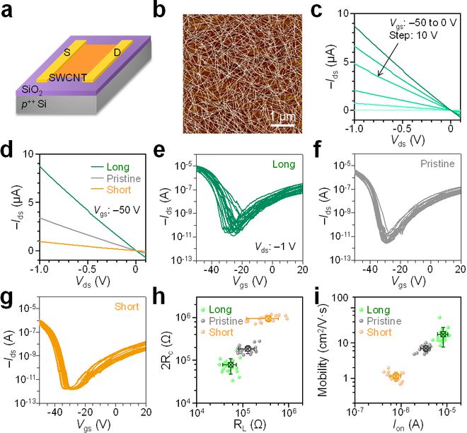 表面活性剂胶束驱动碳纳米管长度分离 进展(图5)