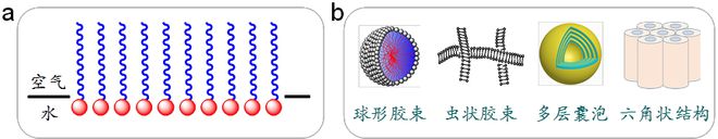 表面活性剂:化学世界古老又年轻的成员(图3)