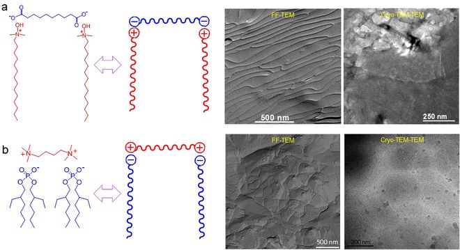 表面活性剂:化学世界古老又年轻的成员(图6)