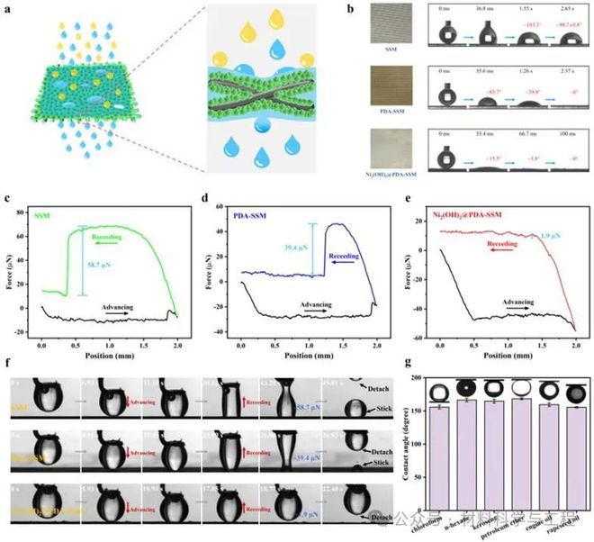 成都理工大学汪建《J Membrane Sci》：用于高效油水分离的超耐用水下超疏油性Ni基金属氢氧化物-有机框架膜(图3)