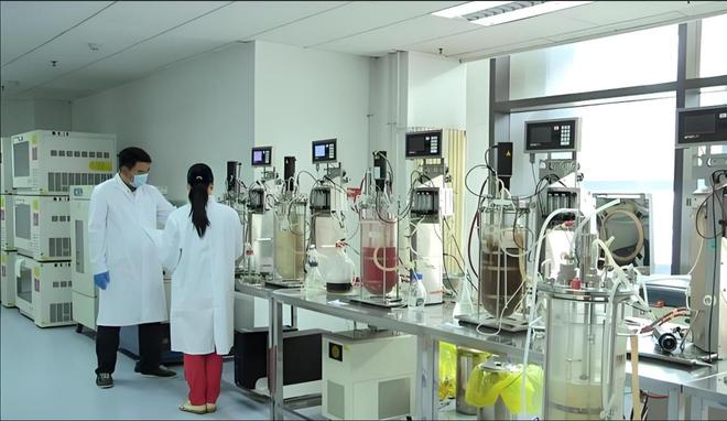 苄基三乙基氯化铵56-37-1:属性、用途与合成(图4)