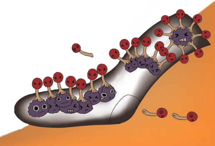 磨磨蹭蹭的清洁剂(图5)