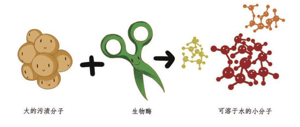 磨磨蹭蹭的清洁剂(图6)