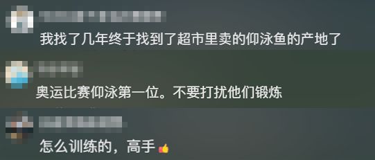 一觉醒来河南一鱼塘的鱼全变“仰泳鱼”网友：超市来你这进货(图4)
