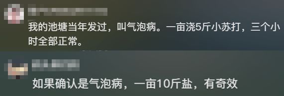 一觉醒来河南一鱼塘的鱼全变“仰泳鱼”网友：超市来你这进货(图5)