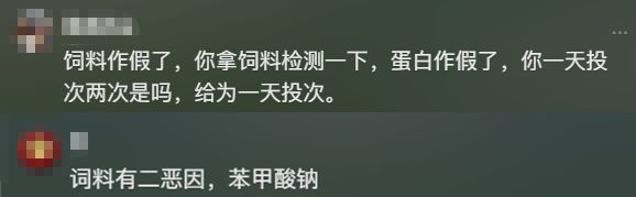 一觉醒来河南一鱼塘的鱼全变“仰泳鱼”网友：超市来你这进货(图7)