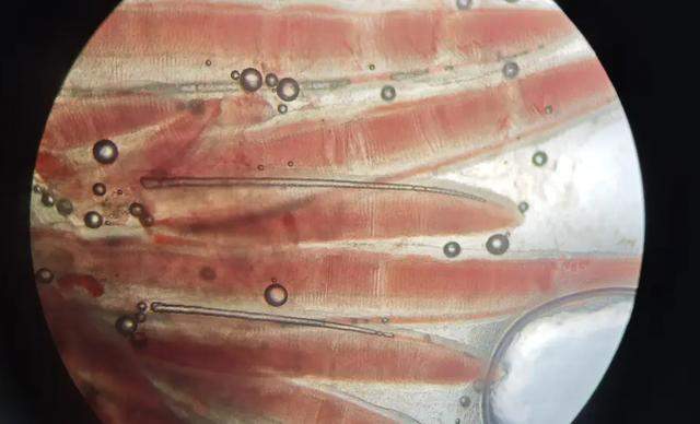 一觉醒来河南一鱼塘的鱼全变“仰泳鱼”网友：超市来你这进货(图10)