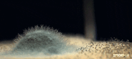 洗干净一条黄黄的内裤竟然这么简单！(图4)