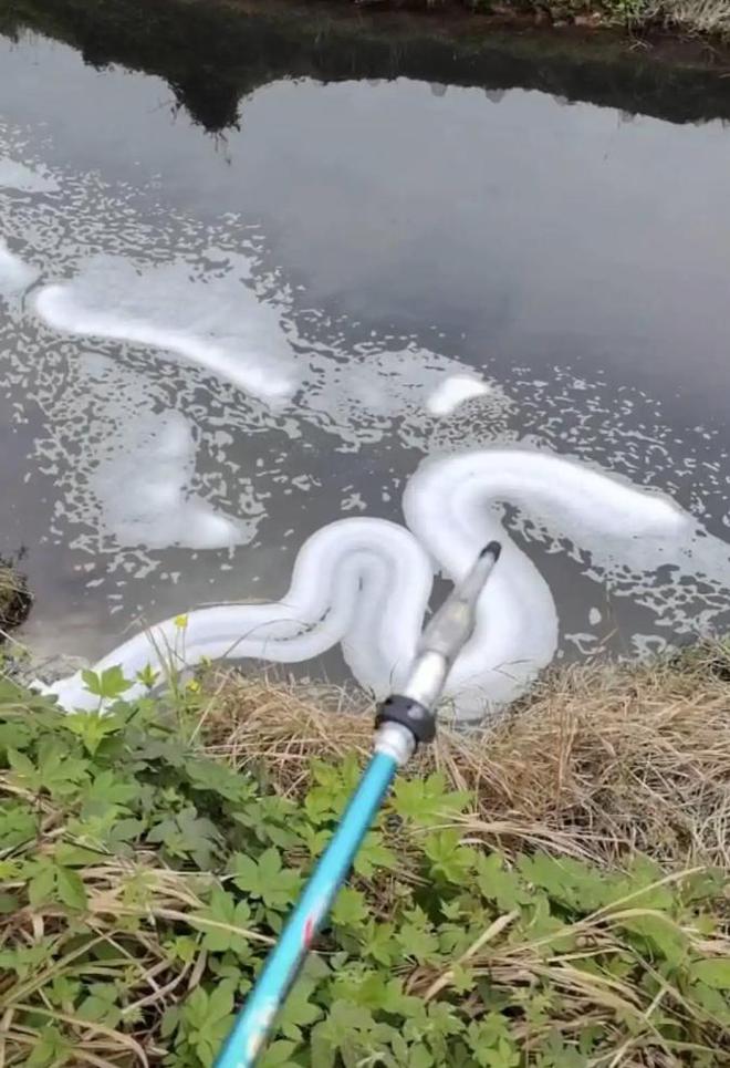 网民反映黑臭水排入长江重庆江津通报(图2)