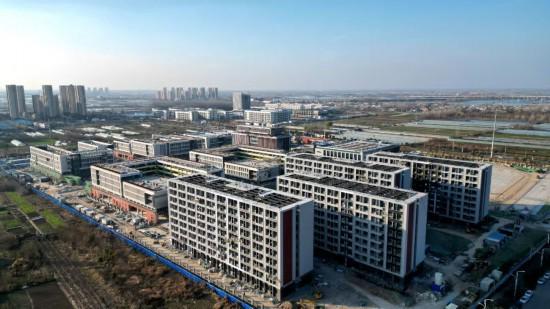 蚌埠淮上区：冲刺“开门红” 拼出“满堂彩”(图7)