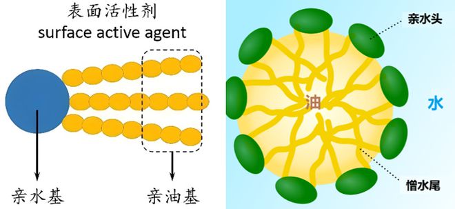 如果洗发水没有了能用沐浴露洗头吗?(图2)