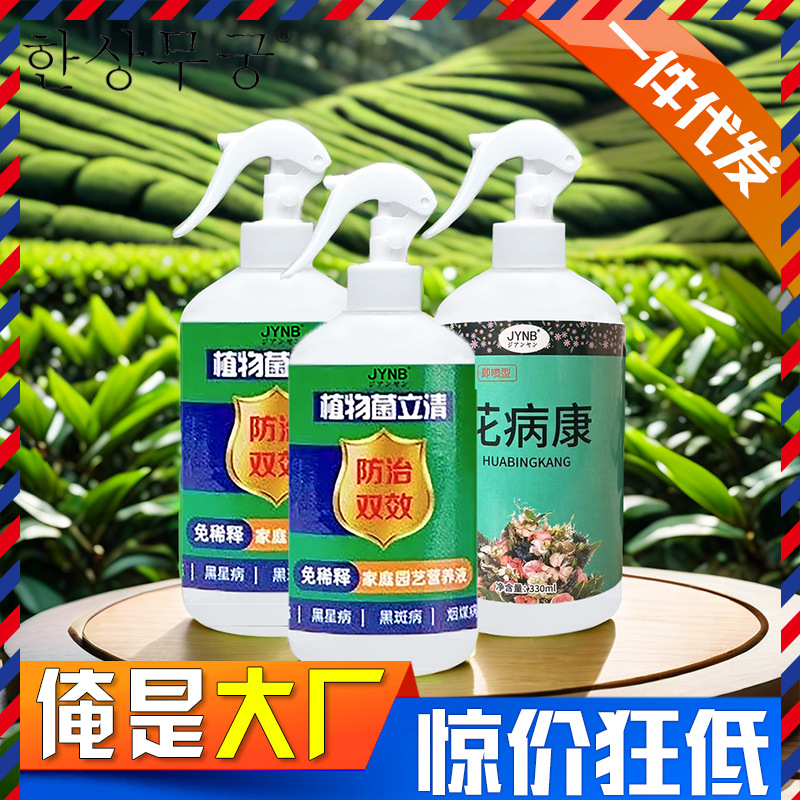 湖南石门无患子种质资源库跻身“国家队”