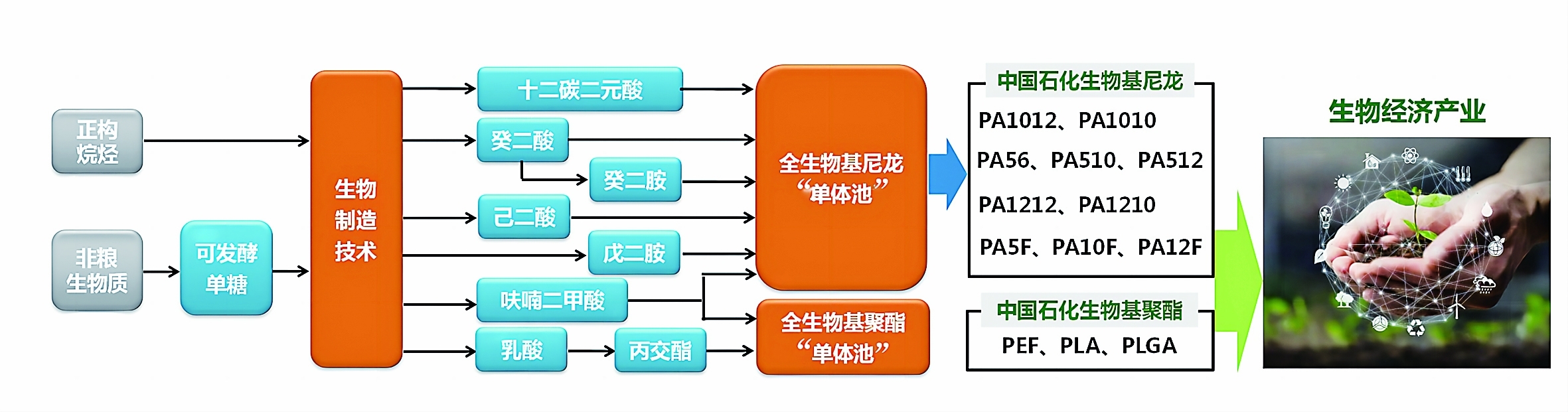 精细化工步入绿色转型阶段(图2)