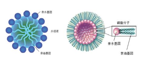 表面活性剂 _金属除油蜡工业清洗原料_新葳科技