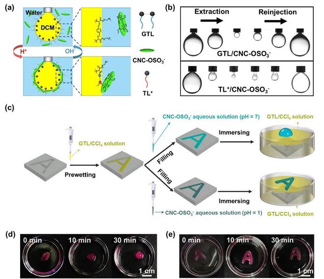 北京科技大学王国杰教授团队Small：多功能pH响应Gemini表面活性剂(图3)