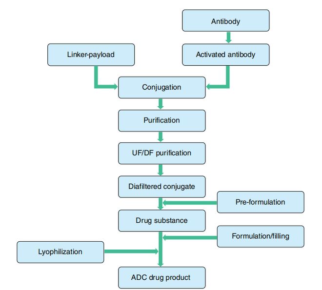 抗体偶联药物(ADC):CMC与表征概述(图2)