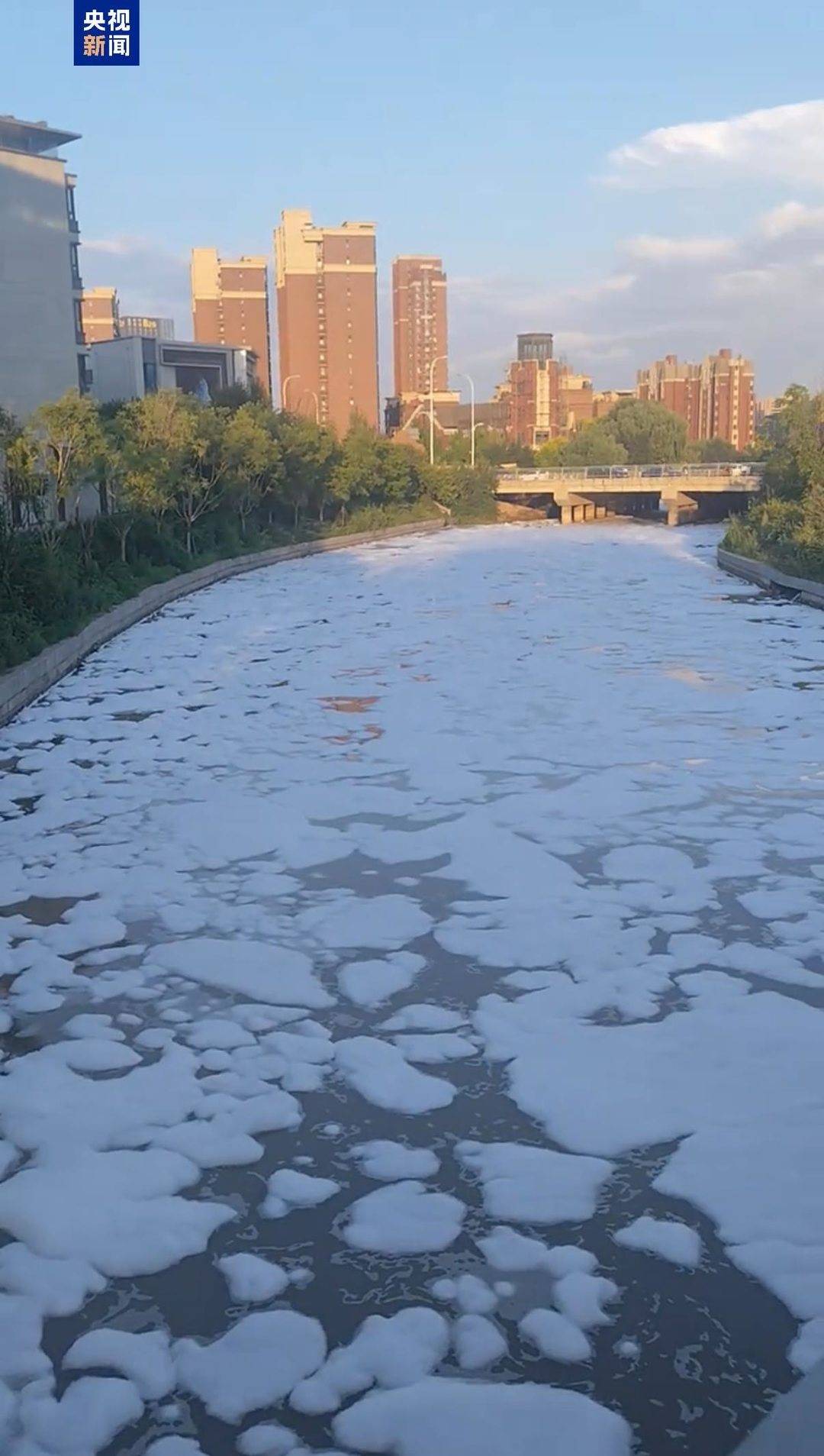 沈阳通报一河流现大量泡沫：洗手液原料进入河道 已立案调查(图2)