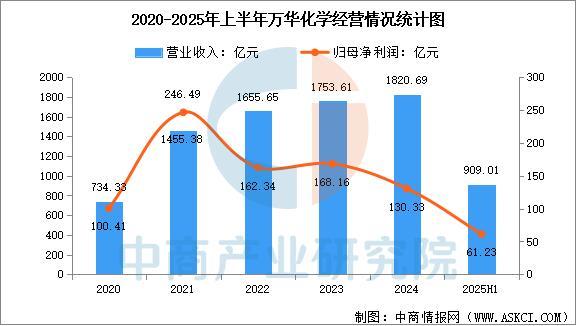2025年中国精细化工行业市场前景预测研究报告(图10)