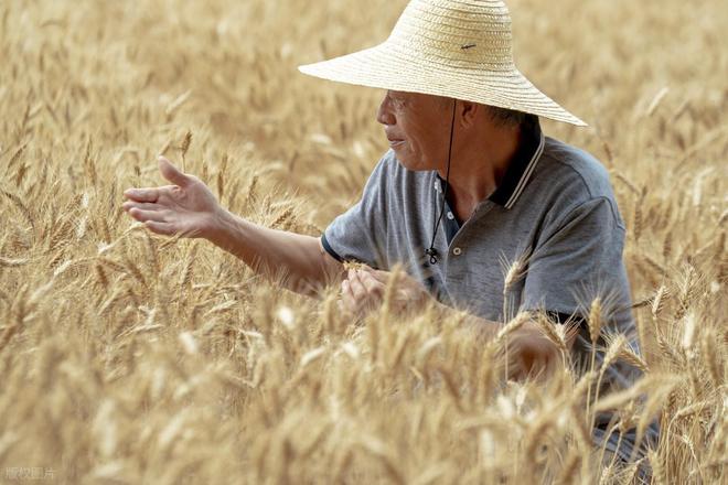 70多岁老人难道每天就剩这四件事了吗? 非也他们还能做9件事(图2)