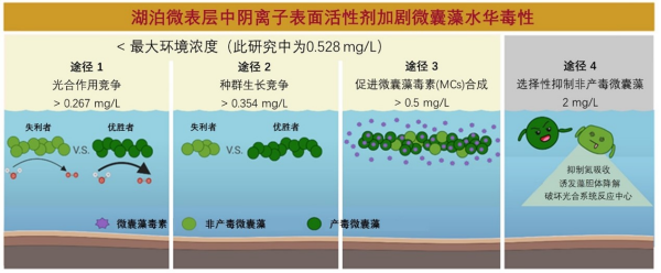 表面活性剂基础知识