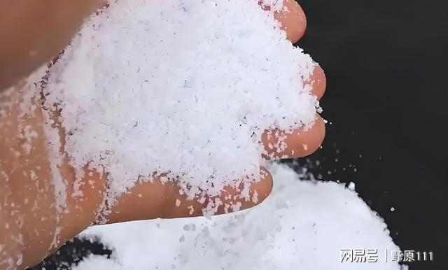 洗衣粉兑水三天灭白飞虱？老农亲测半亩番茄起死回生(图4)