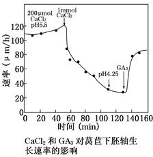 办实事 ｜ 河面出现大量漂浮物 辽宁沈阳：经连夜处置已恢复正常