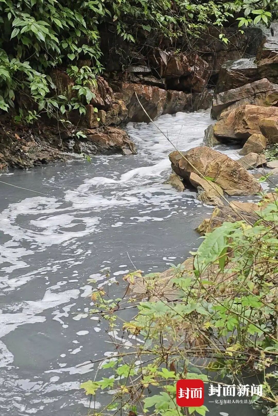 重庆南川通报孝子河污染情况：已确定污染源 将制定整治方案
