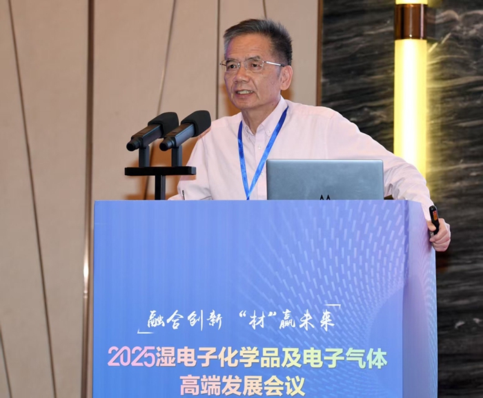 2025湿电子化学品及电子气体高端发展会议召开(图7)