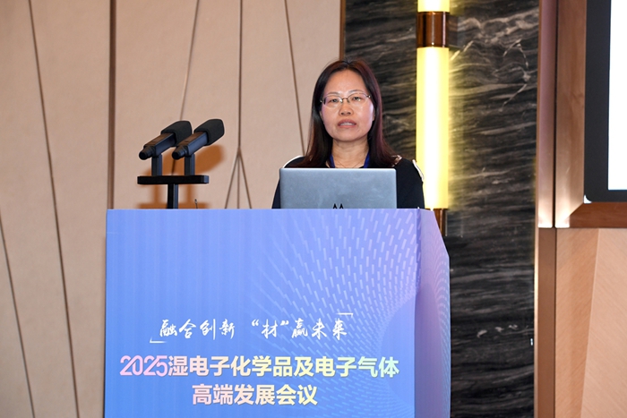 2025湿电子化学品及电子气体高端发展会议召开(图9)