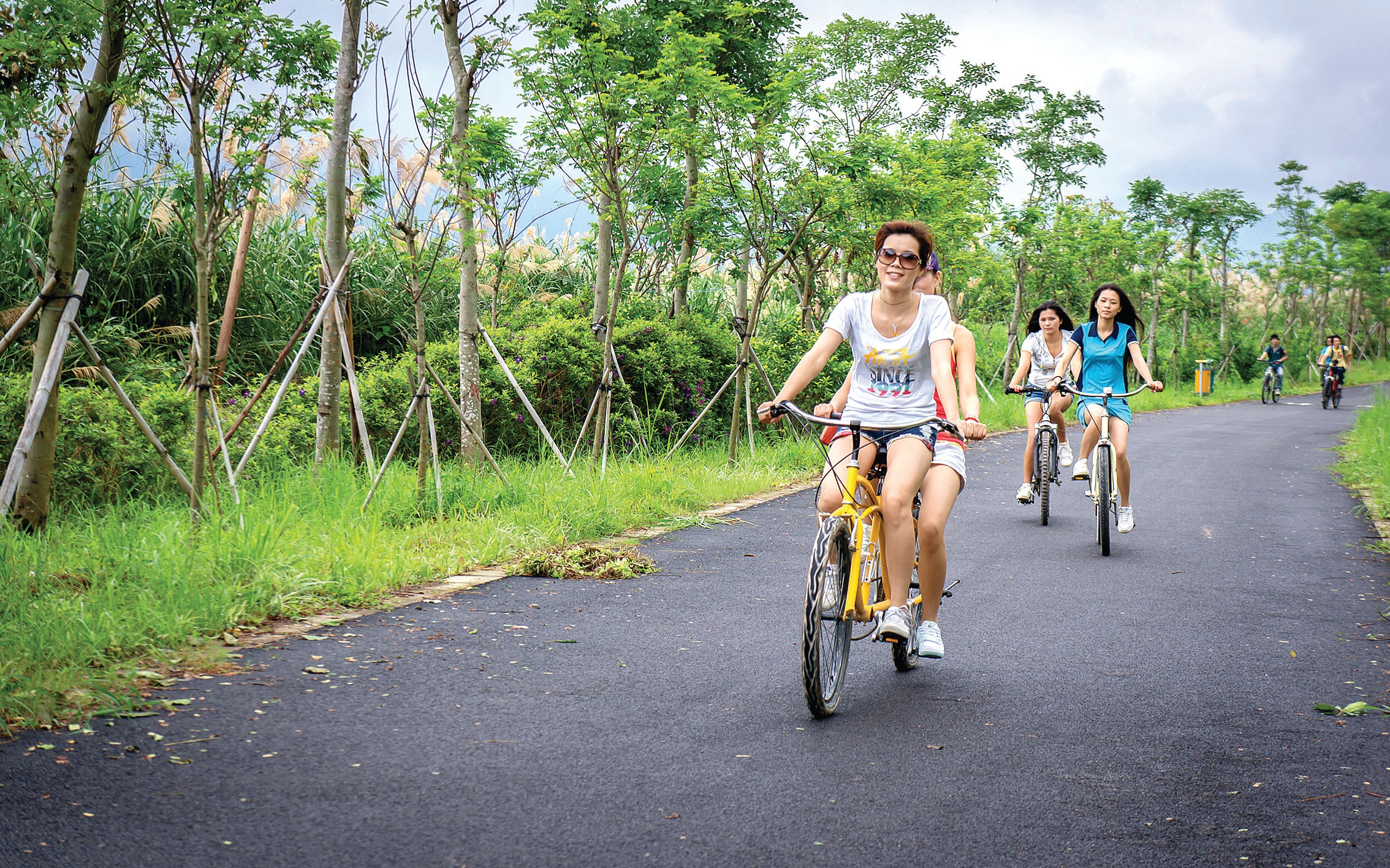 新编“山海经”之风物新谱丨大亚湾开发区：产业“双翼”强引擎 乡村“造血”富家底(图2)
