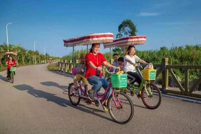 大亚湾开发区：产业“双翼”强引擎 乡村“造血”富家底