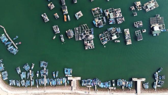 大亚湾开发区：产业“双翼”强引擎 乡村“造血”富家底(图2)