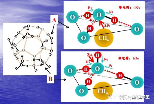 2026年中国洗发水市场深度洞察：趋势、格局与增长密码