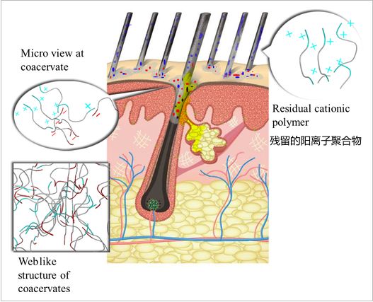 为什么用去屑洗发水头皮屑反而越洗越多？(图9)