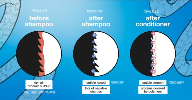 为什么用去屑洗发水头皮屑反而越洗越多？(图3)