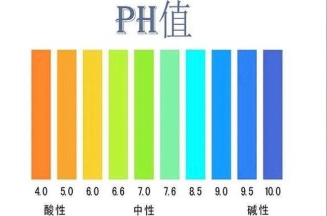 “洗”迎新春！万一洗发水没了能用沐浴露洗头么？(图5)