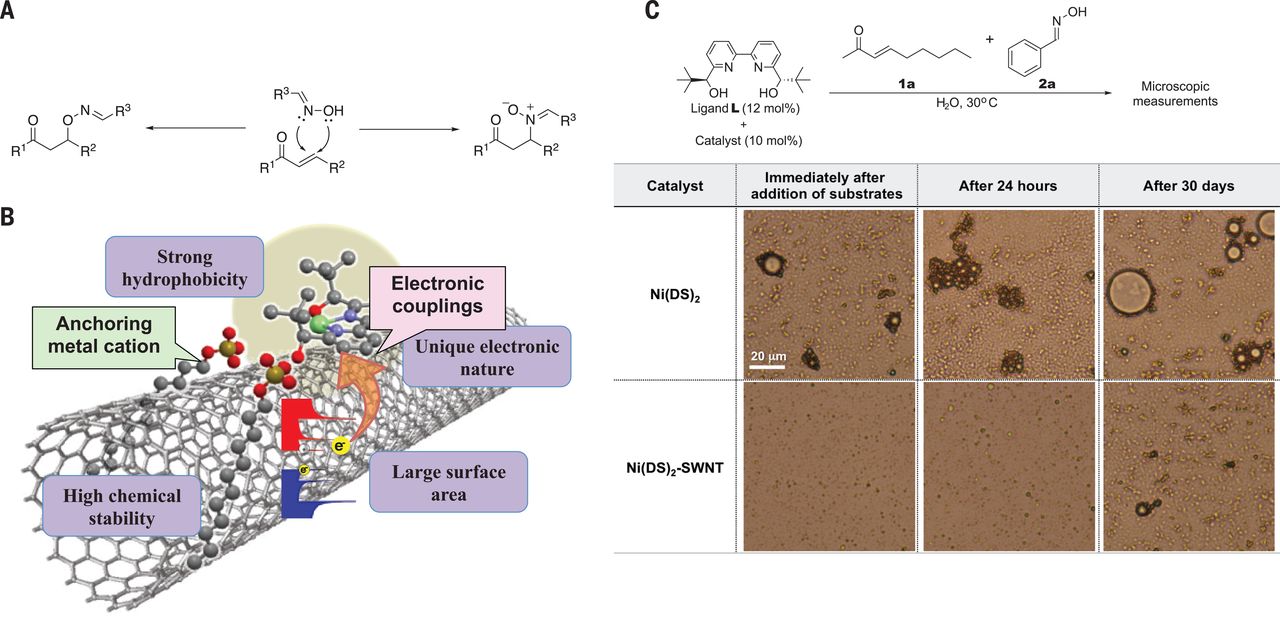 2026北京公园元旦活动(文化活动+冰雪)