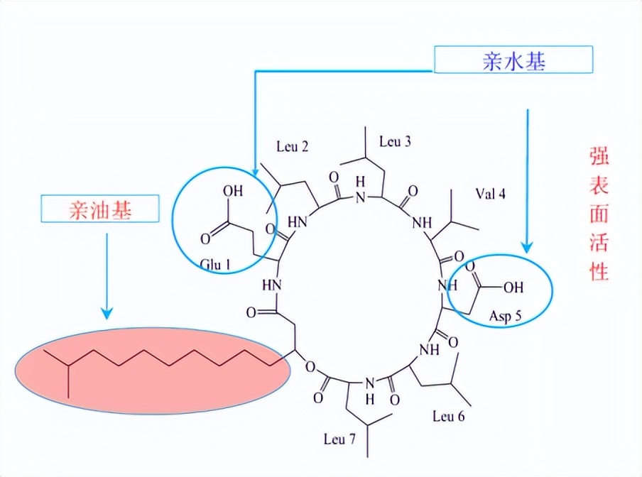 重庆A股40家上涨 新大正、康普化学、渝开发列前三