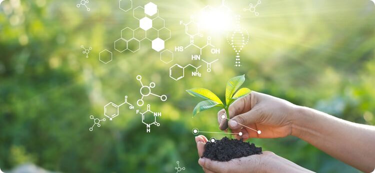 表面活性剂有哪些类型