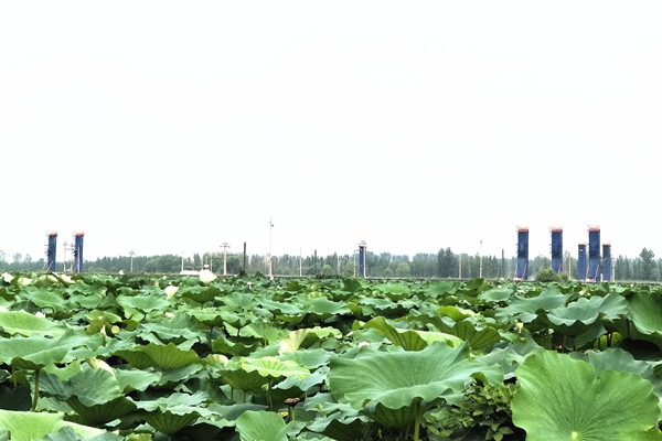 中石化胜利油田：科技赋能铸东辛力量(图2)