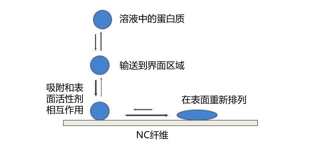 一文了解表面活性剂的概念及性能指标(图3)