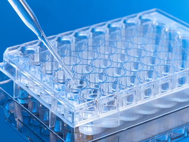 皇马科技股价连涨574%大成基金重仓浮盈294万元！背后真相是什么？